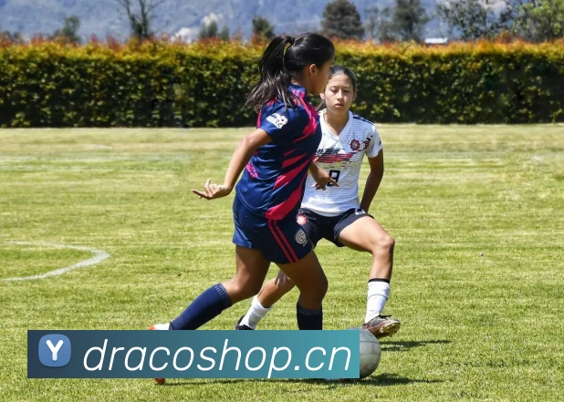 数据防护可视化